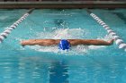 Swimming vs Bentley  Wheaton College Swimming & Diving vs Bentley College. - Photo by Keith Nordstrom : Wheaton, Swimming & Diving